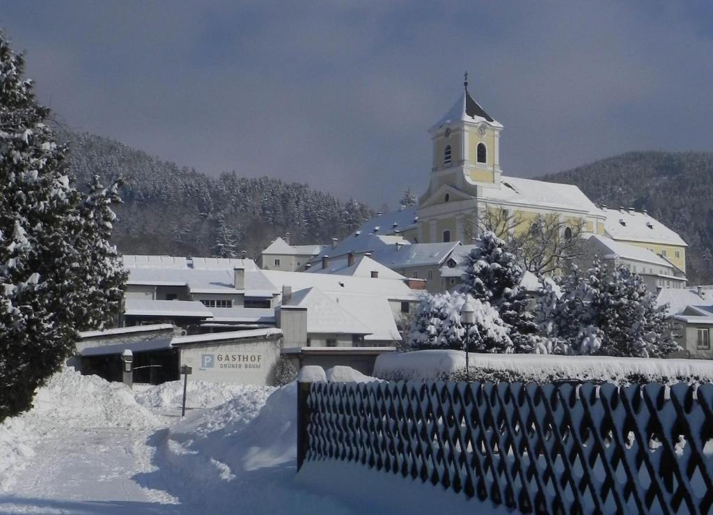 Gasthof Gruener Baum Kirchberg am Wechsel Exterior photo
