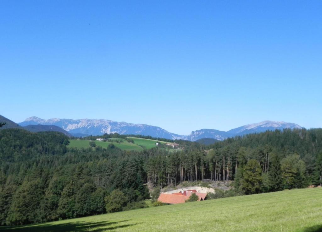 Gasthof Gruener Baum Kirchberg am Wechsel Exterior photo